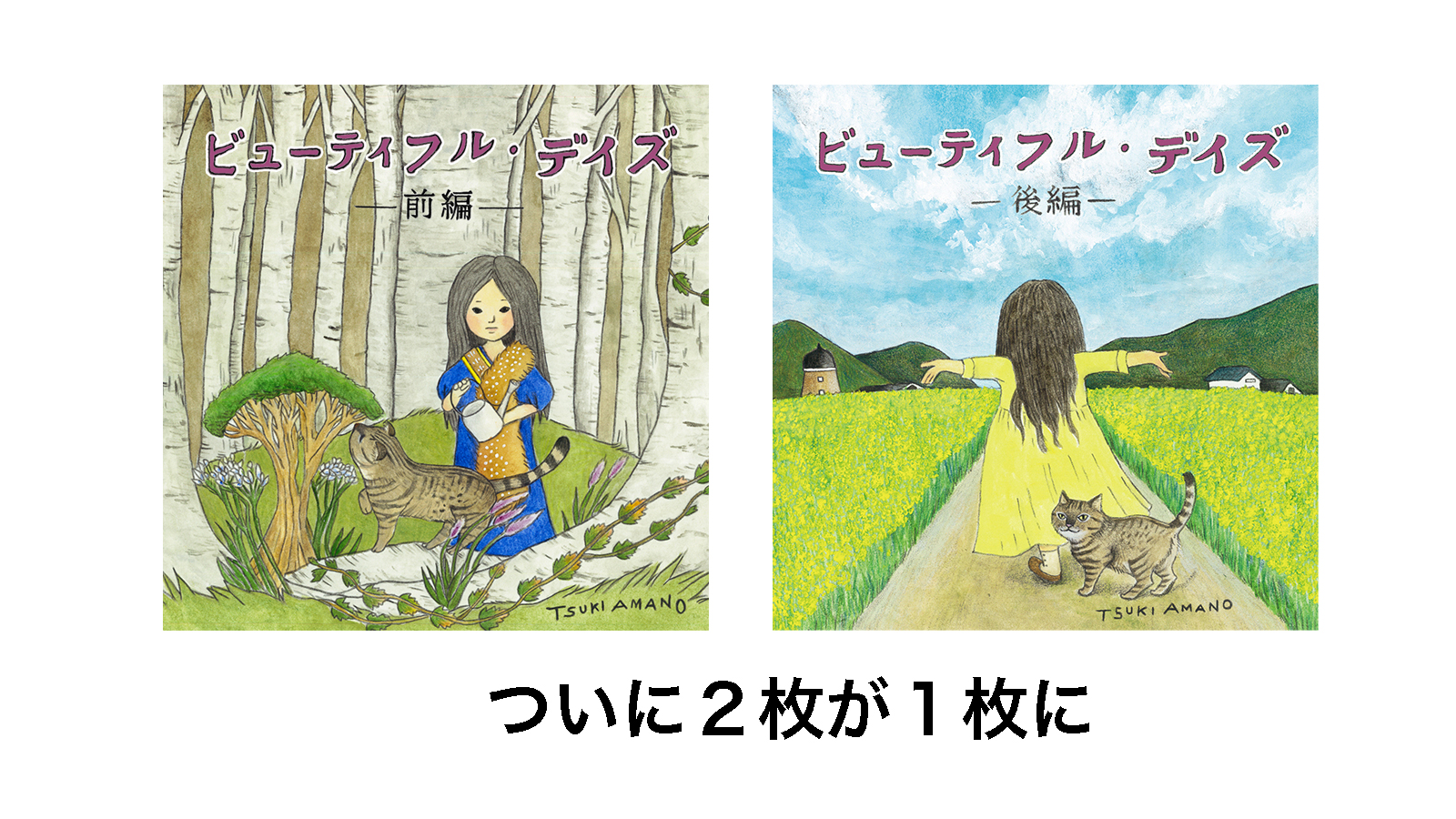 廃盤☆天野月『ビューティフル・デイズ 完全版』☆限定盤・400枚限定-