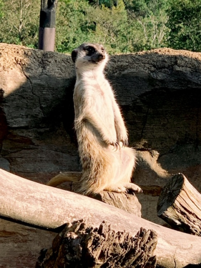 IMG_0770 IMG_0770