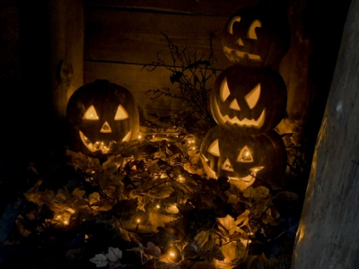 IMG_0786 IMG_0786